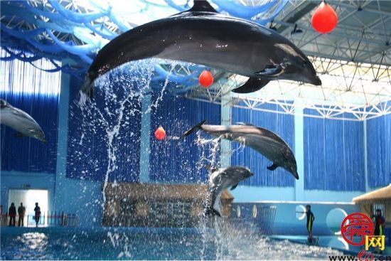 蓬莱八仙过海度假区端午游园会 多样民俗活动玩过瘾