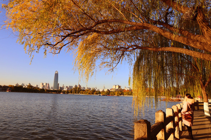 晨光映湖 斑斓如画 这里藏着济南的醉美初冬