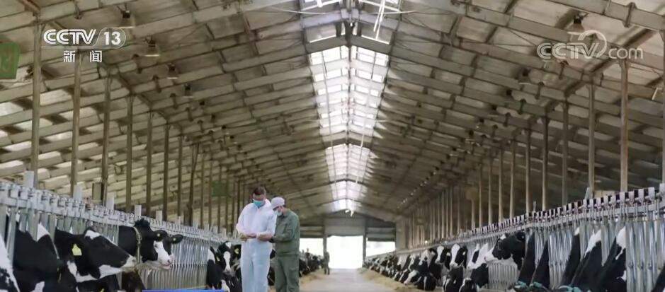 突破制约 数字技术与传统农业碰撞出“最优解”