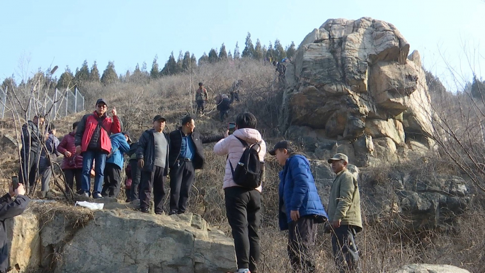 济南网红“狮身人面像”每天引千名游客打卡  系统化管理有待探讨