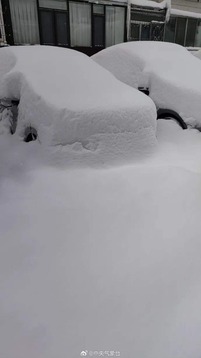 积雪超半米!山东烟台威海遭遇极端性冷流暴雪,“宛如北极科考!”