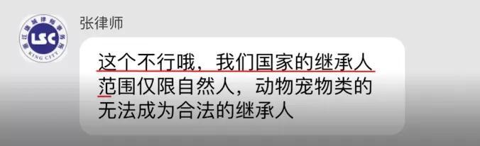 95后姑娘立遗嘱财产留给猫！网友发出灵魂拷问！律师这样回应……