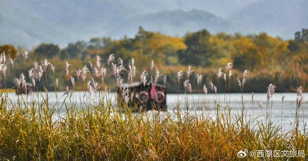 确定了！免费！