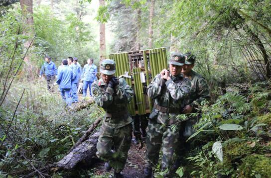 【追梦火焰蓝】“熊猫卫士”——汶川森林消防大队卧龙中队