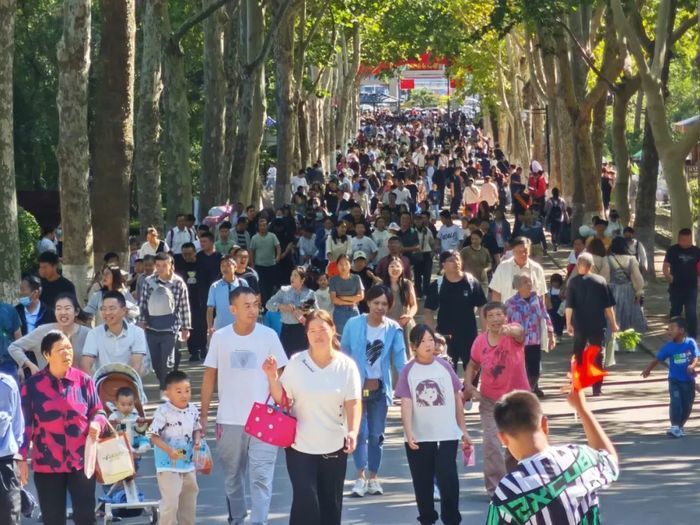 126.82万人畅游公园！济南千佛山、动物园等公园景区“双节”客流创新高