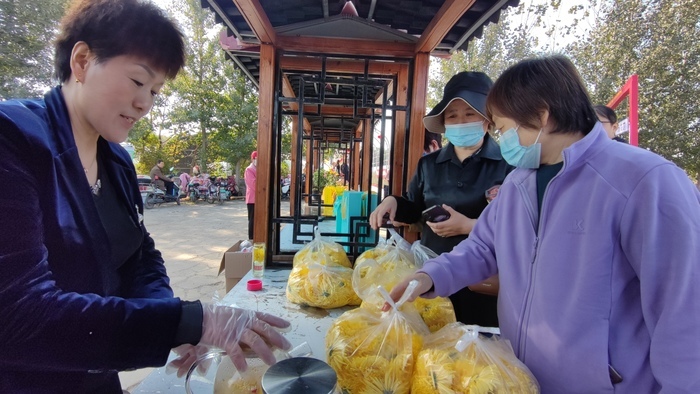 来赴一场“菊花”之约 平阴县“盆王菊花”文化节暨秋季黄河大集活动开幕 