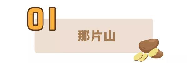 一枝一叶总关情丨骆驼湾：土豆香里话脱贫