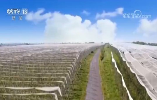 脱贫攻坚 革命老区换新颜 贫困县全“摘帽” 延安整体脱贫