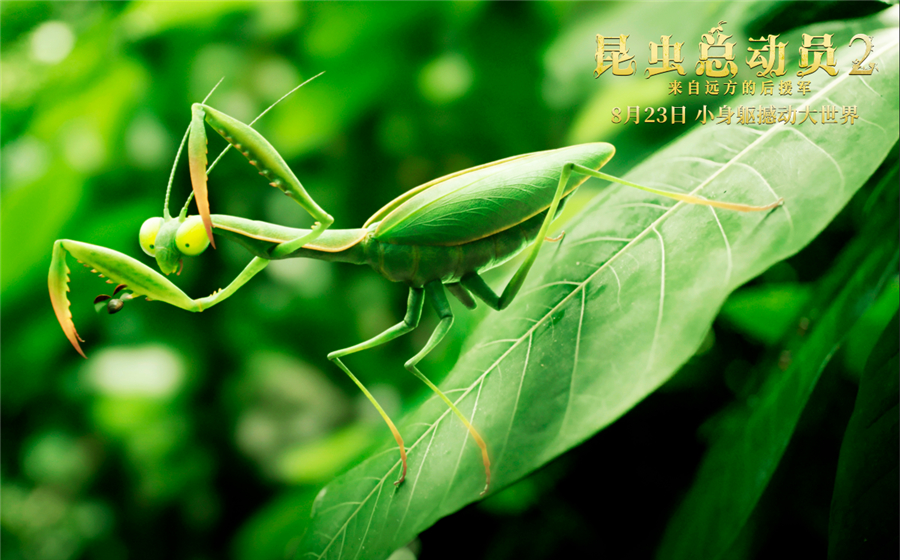 《昆虫总动员2》发丛林版海报 萌力定档8月23日