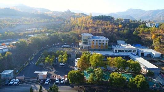 神州巡礼丨山东：从“一天”看乡村振兴多彩画卷