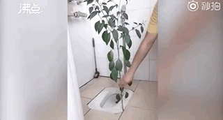 万物生长！好久不见的宿舍，推开门后懵了：人生处处有惊喜