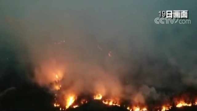 追踪！云南昆明龙池山地区森林火灾明火已扑灭
