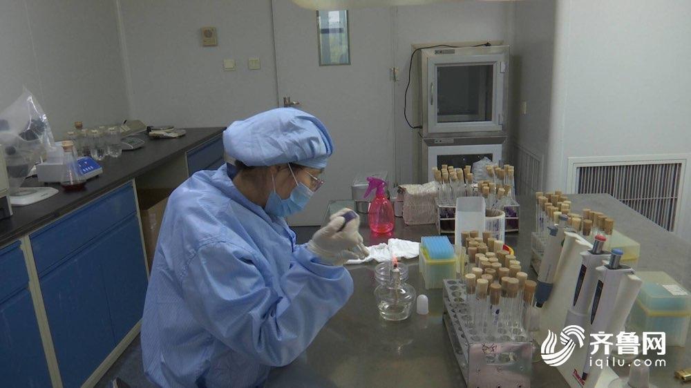 山东实施知识产权“春笋行动” 2020年培育国家级优势企业600家