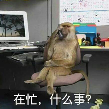 一夜之间“吗喽”占领了年轻人的生活圈 来自何方？
