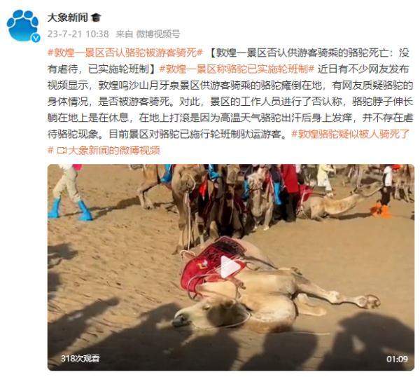 敦煌一景区否认供游客骑乘的骆驼死亡：没有虐待，已实施轮班制