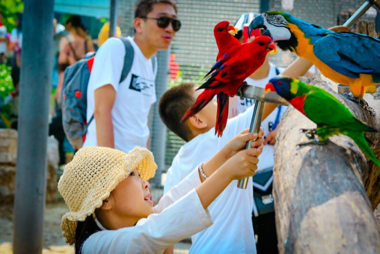 济南野生动物世界迎来客流高峰