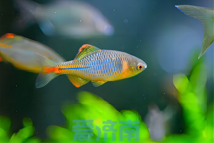 相生共荣的泉城“山水气质”