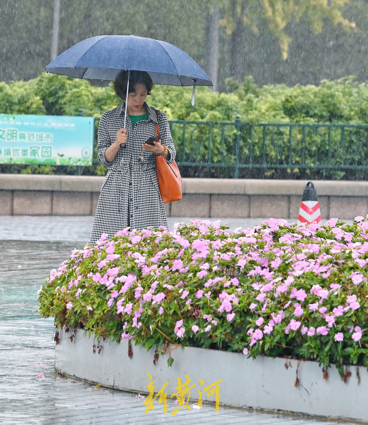 国庆假期首日泉城迎雨，游人雨中漫步泉城广场