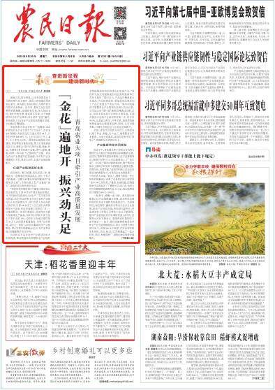 銆婂啘姘戞棩鎶ャ€嬪ご鐗堝ご鏉$偣璧炲北涓滈潚宀涳細鈥滈噾鑺扁€濋亶鍦板紑 鎸叴鍔插ご瓒? height=