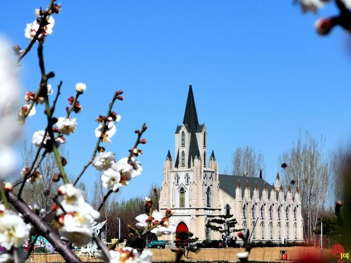 山东文旅集团托管 济南“紫缘香草园”焕新升级济南“花 young park”