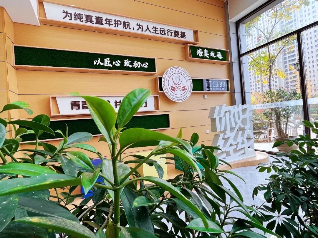 市中区政协专题商量调研活动走进经纶小学