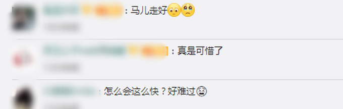 马主人回应下海救人两匹马去世|心疼哭了!马主人回应下海救人两匹马去世 网友:还以为能救好