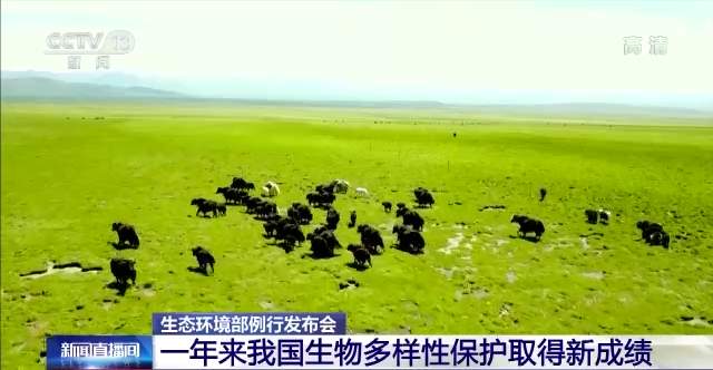 生态环境部:一年来我国生物多样性保护取得新成绩