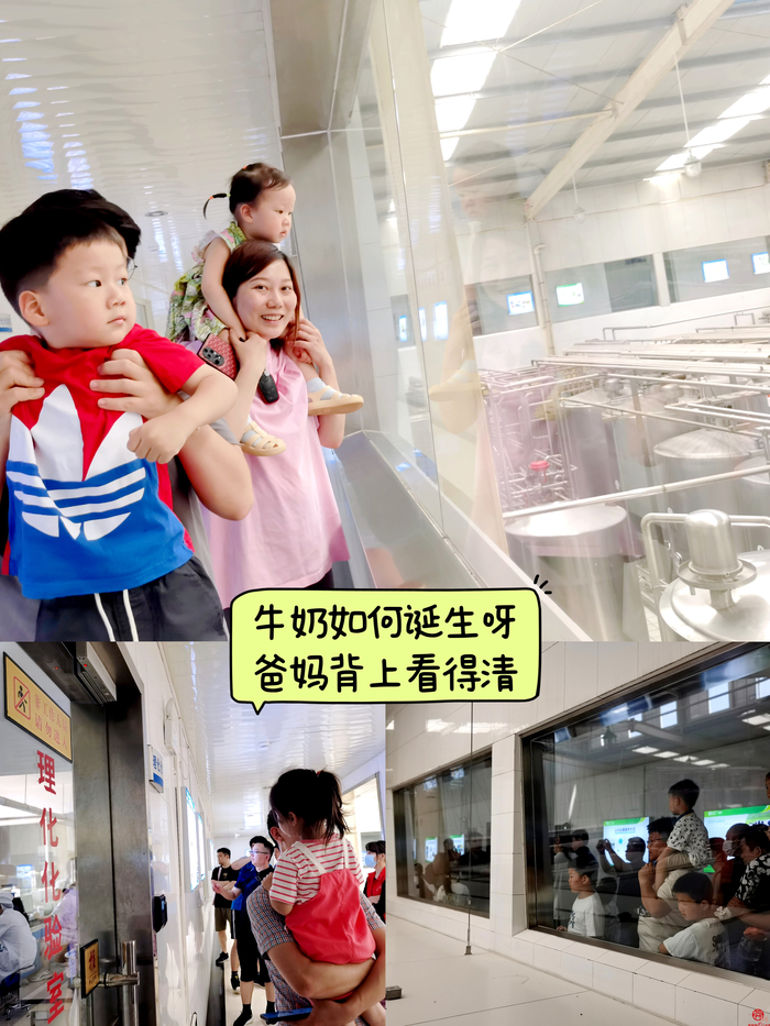 “走，挤奶去！”泉水人家三周年领百名市民探秘兴牛乳业