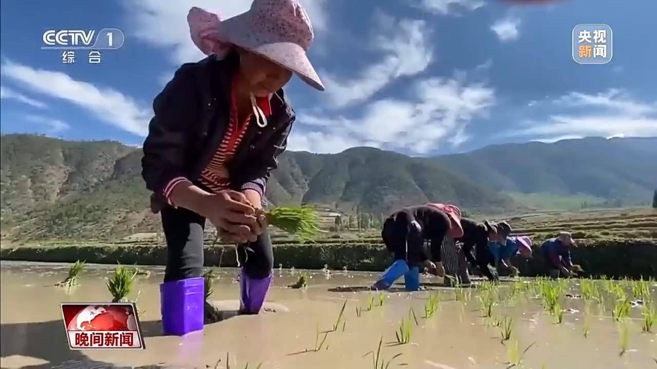 双向奔赴促振兴 东西部协作同取“共富经”