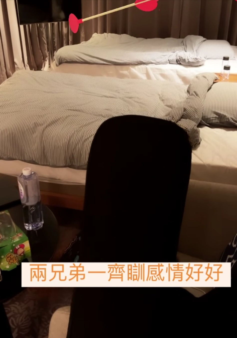张柏芝晒与两儿子合照 怀抱小Q上演歪头杀