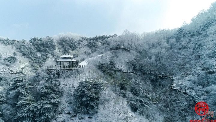 雪落冬藏！九如山迎来鹅毛大雪，银装素裹美如画