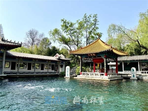 历史同期21年最高！入汛首日，趵突泉地下水位创纪录