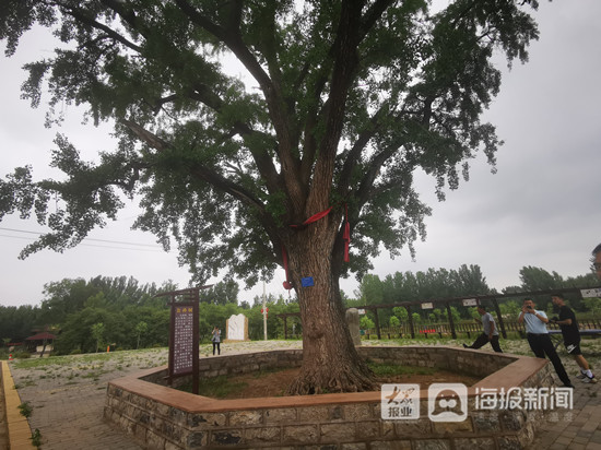 红色齐鲁百年颂丨临沂沂南用活红色资源，打造红色旅游发展新模式