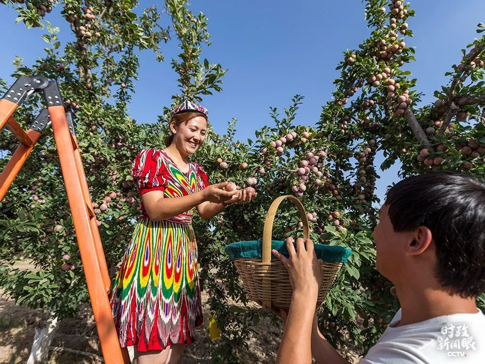 第三次新疆座谈会，习近平这样阐释新时代党的治疆方略