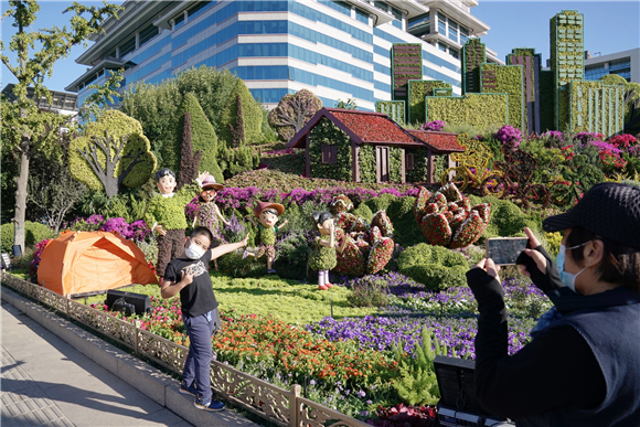 天安门广场“祝福祖国”巨型花果篮亮相