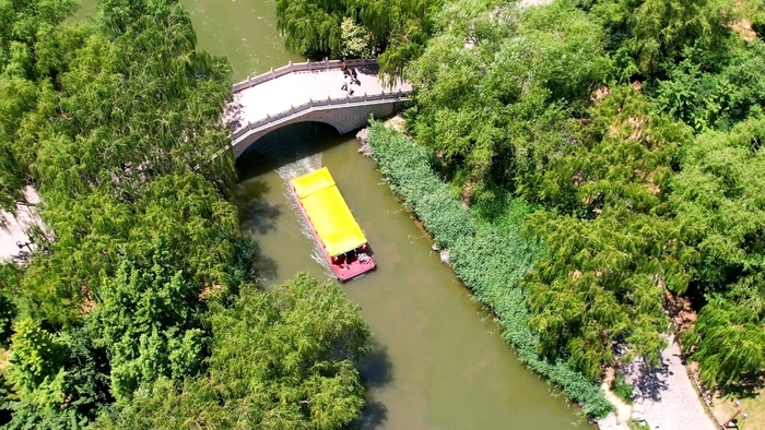诗画济南丨四面荷花三面柳 半城湖色美如画