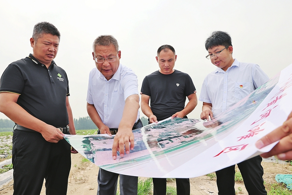 融媒·见证|“田管家”开启了全街道上千亩荒地的“变形计”
