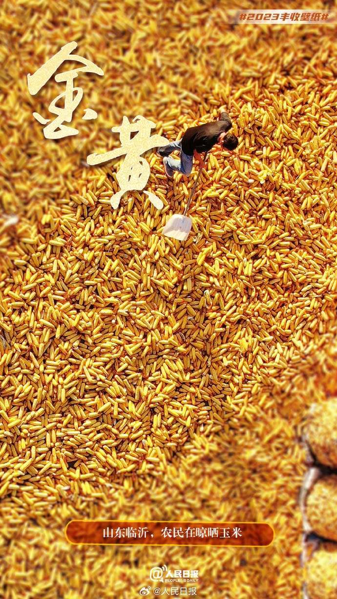 俯瞰丰收大地，美成了壁纸