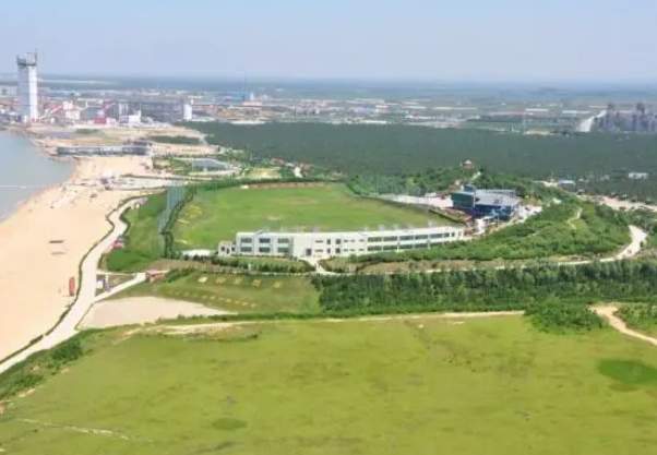 挖呀挖呀挖，莱州西岭金矿为何探矿就花16年？