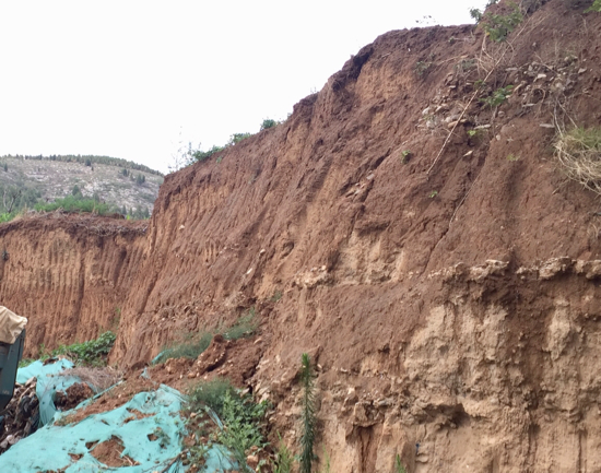 【啄木鸟在行动】凤凰国际小区东门附近渣土覆盖不全
