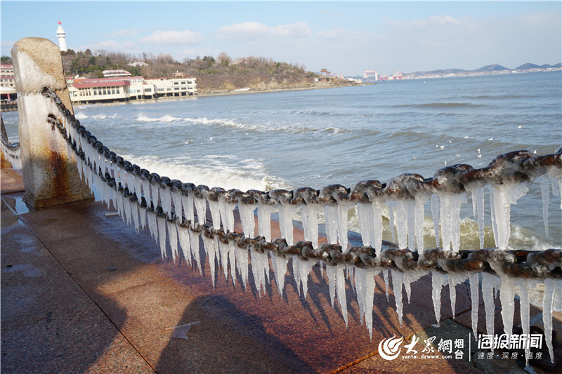 这就是山东丨冰凌、海鸥……大雪过后烟台的海边又美出了新高度