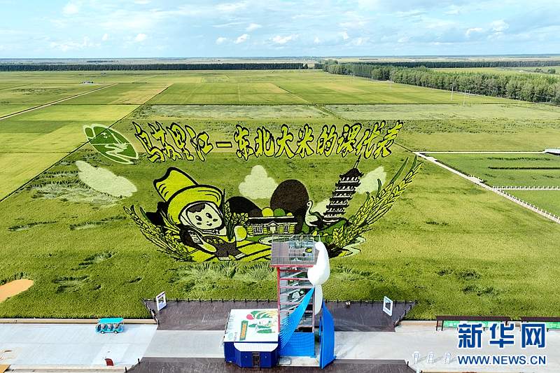 神州答卷丨松花江畔风正劲——黑龙江奋力开创高质量发展新局面