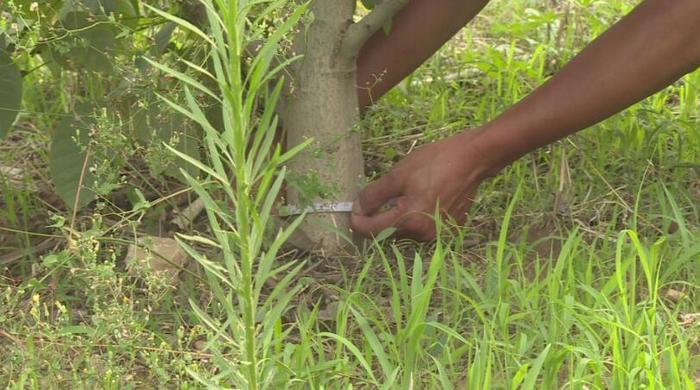 百名青年记者走基层