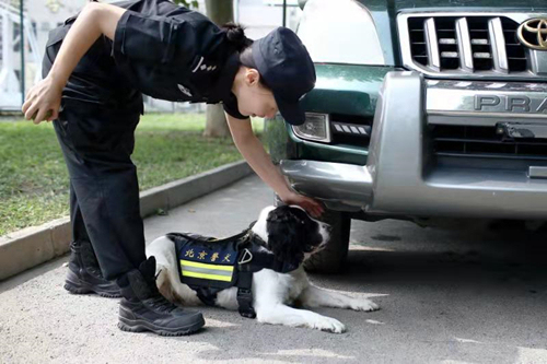中国警犬又添新技能 可搜索新型炸药与枪弹