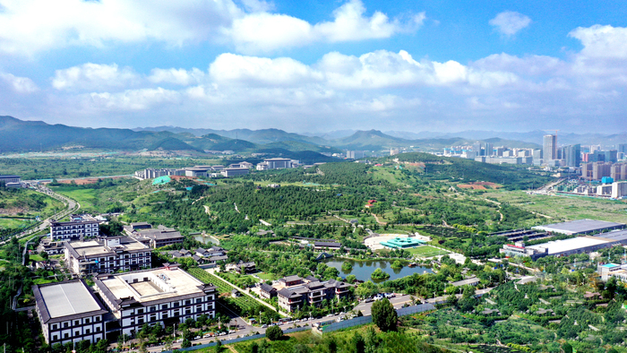 济南调整这项公告范围明年4月1日起执行