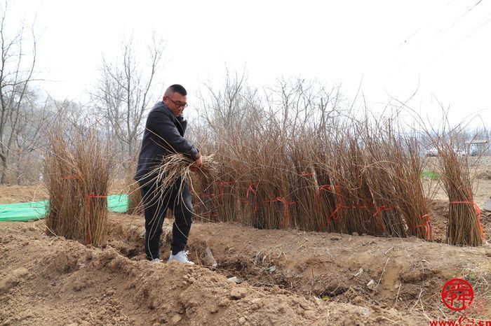 强信心 稳经济 促发展 