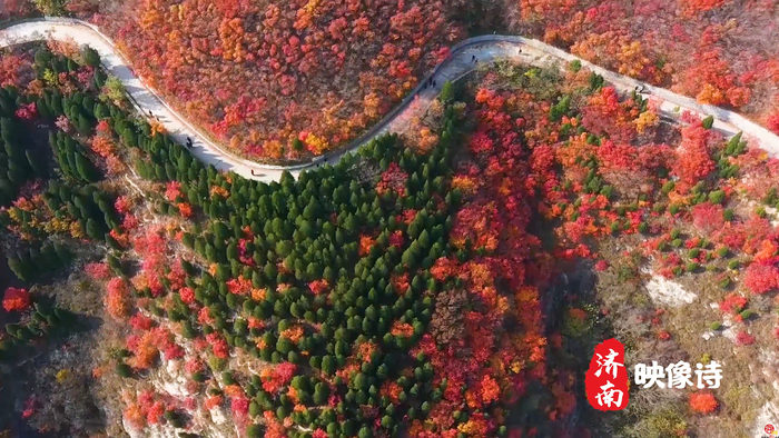 济南映像诗丨蚰蜒山：梯田层叠 五彩斑斓