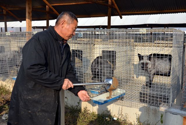 应退尽退、依法补偿 多地酝酿野生动物养殖场退出补偿方案