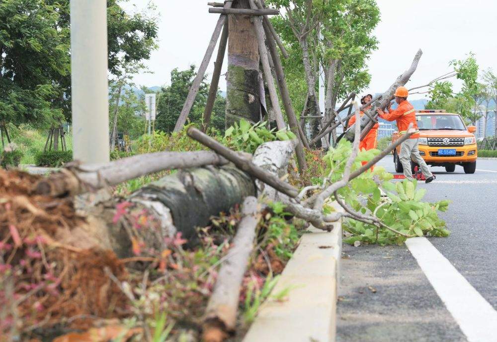 直击福建多地抗击台风“杜苏芮”抢险救援一线