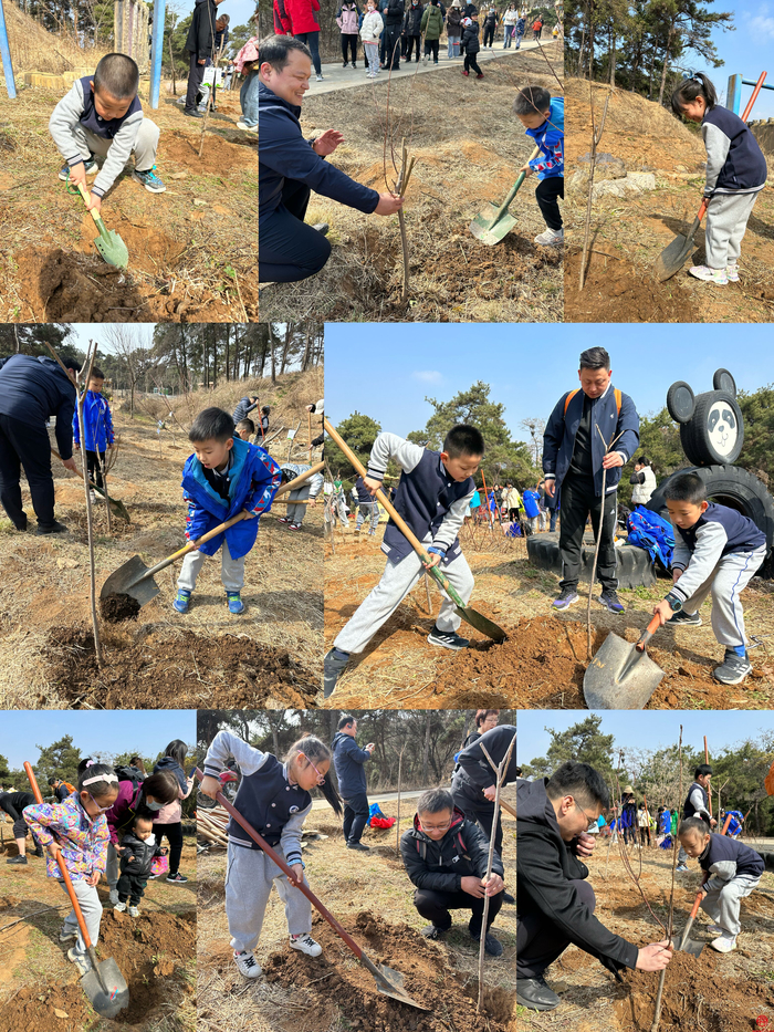 种植希望  收获成长——山师附小2022级9班雏鹰小队植树活动纪实